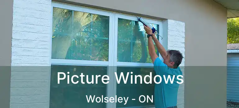 Picture Windows Wolseley - ON
