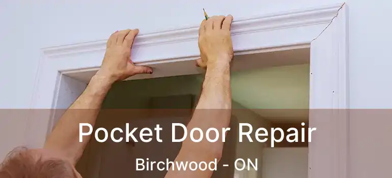 Pocket Door Repair Birchwood - ON