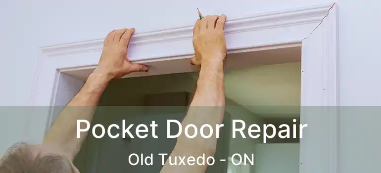  Pocket Door Repair Old Tuxedo - ON