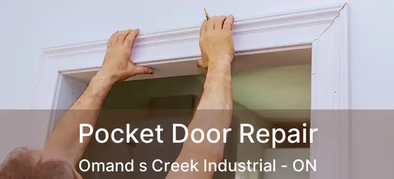  Pocket Door Repair Omand s Creek Industrial - ON