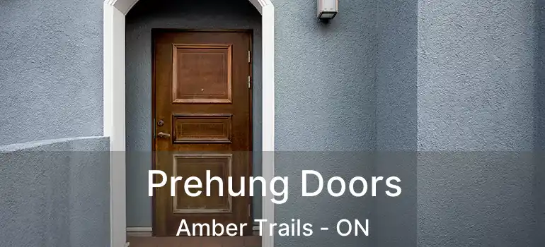  Prehung Doors Amber Trails - ON