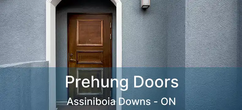  Prehung Doors Assiniboia Downs - ON