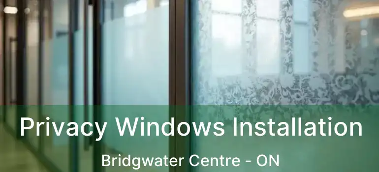  Privacy Windows Installation Bridgwater Centre - ON