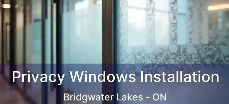 Privacy Windows Installation Bridgwater Lakes - ON