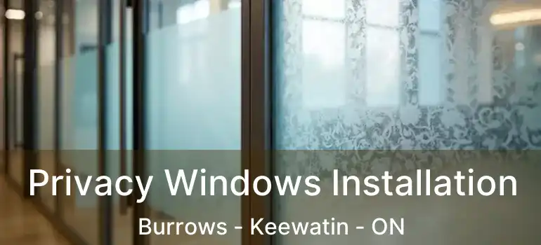  Privacy Windows Installation Burrows - Keewatin - ON
