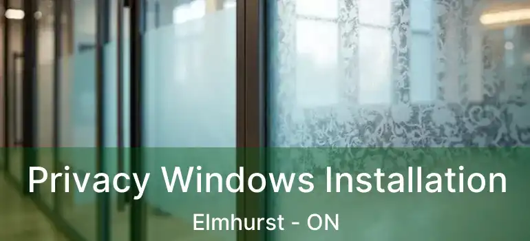  Privacy Windows Installation Elmhurst - ON