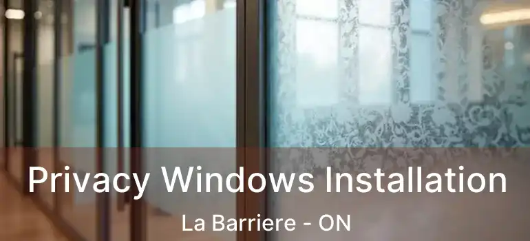  Privacy Windows Installation La Barriere - ON