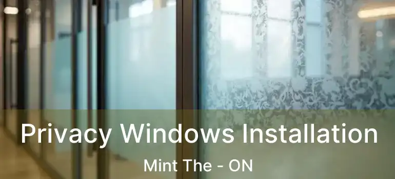  Privacy Windows Installation Mint The - ON