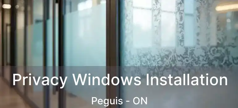  Privacy Windows Installation Peguis - ON