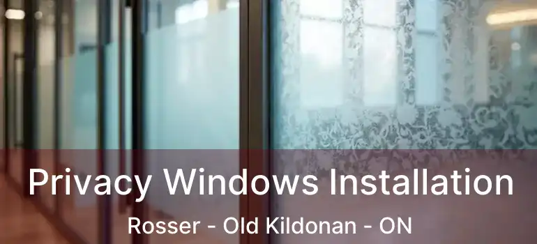  Privacy Windows Installation Rosser - Old Kildonan - ON