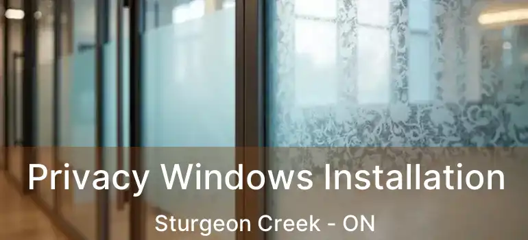  Privacy Windows Installation Sturgeon Creek - ON