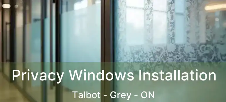  Privacy Windows Installation Talbot - Grey - ON