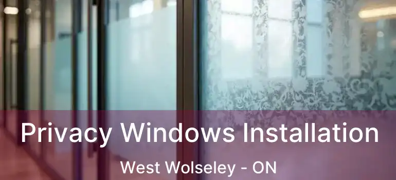  Privacy Windows Installation West Wolseley - ON