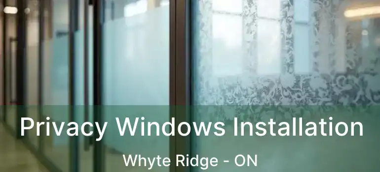  Privacy Windows Installation Whyte Ridge - ON