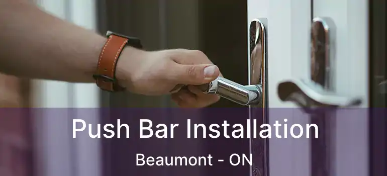  Push Bar Installation Beaumont - ON