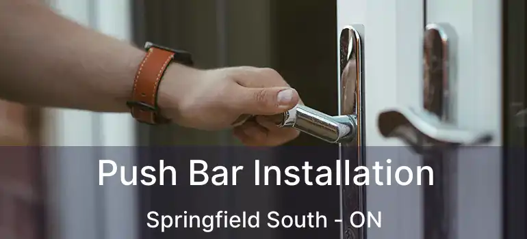  Push Bar Installation Springfield South - ON