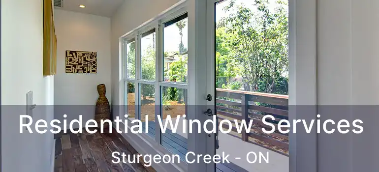  Residential Window Services Sturgeon Creek - ON