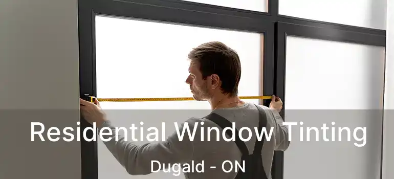  Residential Window Tinting Dugald - ON