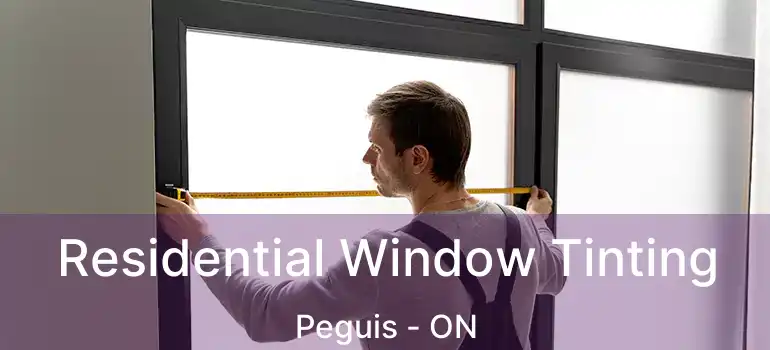  Residential Window Tinting Peguis - ON