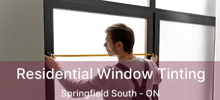  Residential Window Tinting Springfield South - ON
