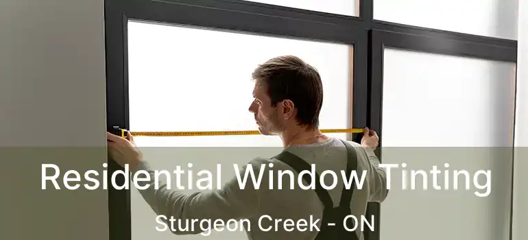  Residential Window Tinting Sturgeon Creek - ON