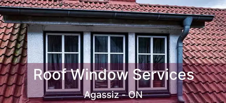  Roof Window Services Agassiz - ON