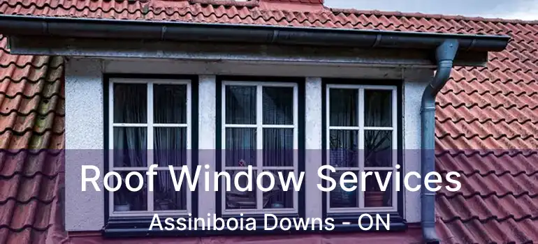  Roof Window Services Assiniboia Downs - ON