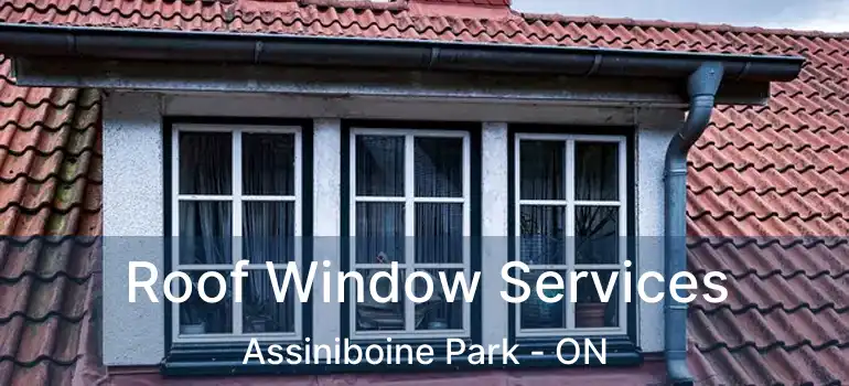  Roof Window Services Assiniboine Park - ON