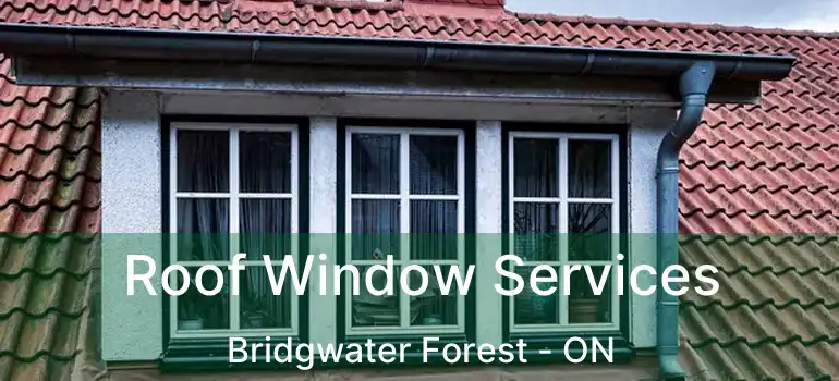  Roof Window Services Bridgwater Forest - ON