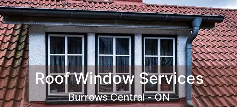  Roof Window Services Burrows Central - ON