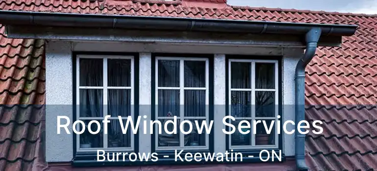  Roof Window Services Burrows - Keewatin - ON
