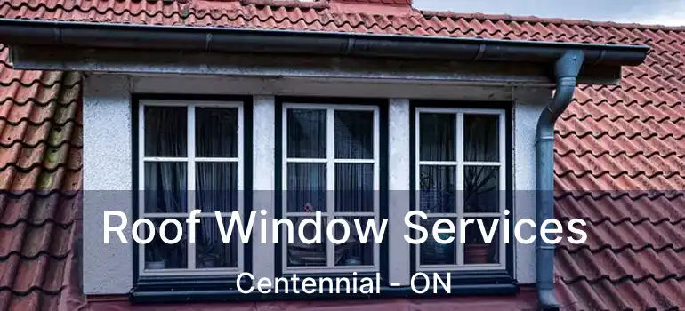  Roof Window Services Centennial - ON
