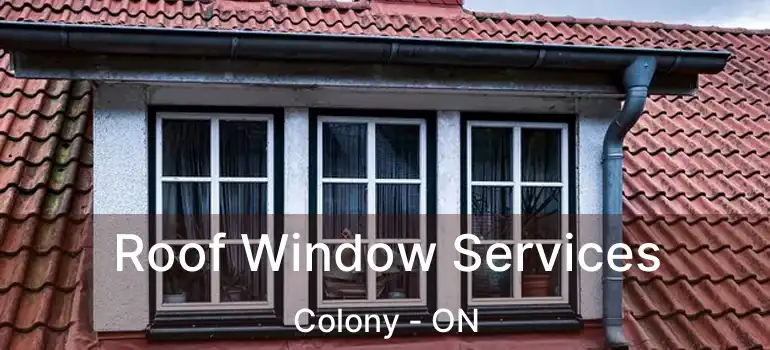  Roof Window Services Colony - ON