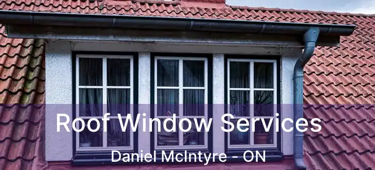  Roof Window Services Daniel McIntyre - ON