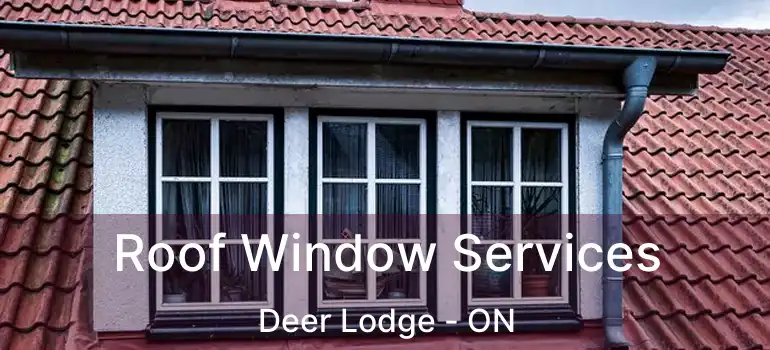  Roof Window Services Deer Lodge - ON