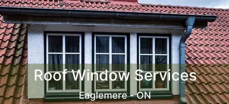  Roof Window Services Eaglemere - ON