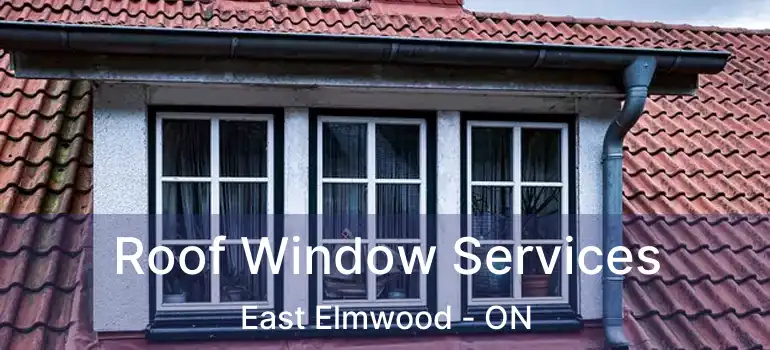  Roof Window Services East Elmwood - ON