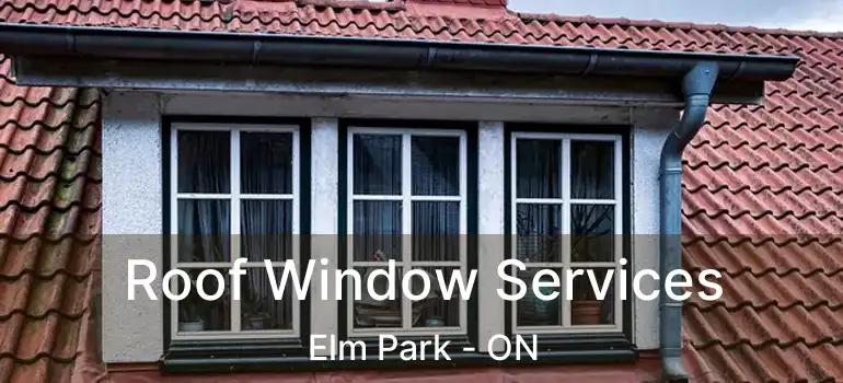  Roof Window Services Elm Park - ON