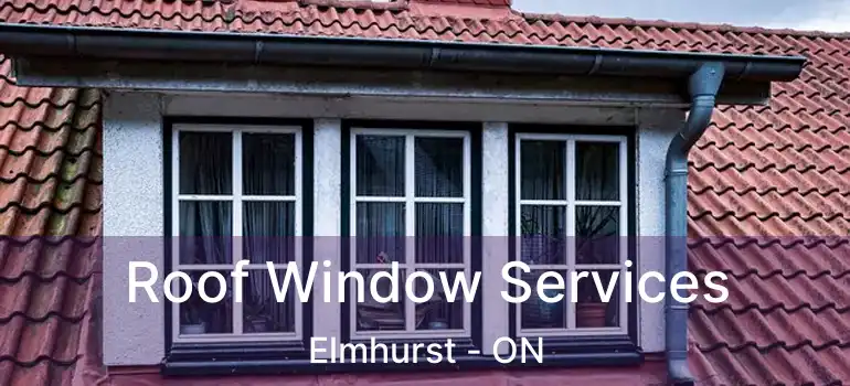  Roof Window Services Elmhurst - ON