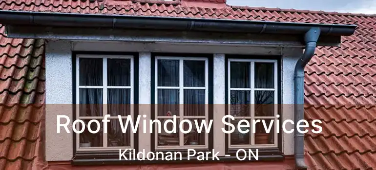  Roof Window Services Kildonan Park - ON