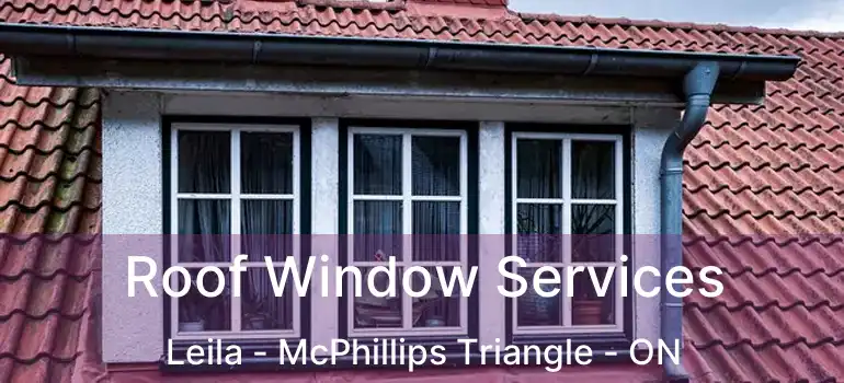  Roof Window Services Leila - McPhillips Triangle - ON