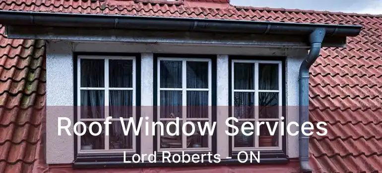  Roof Window Services Lord Roberts - ON