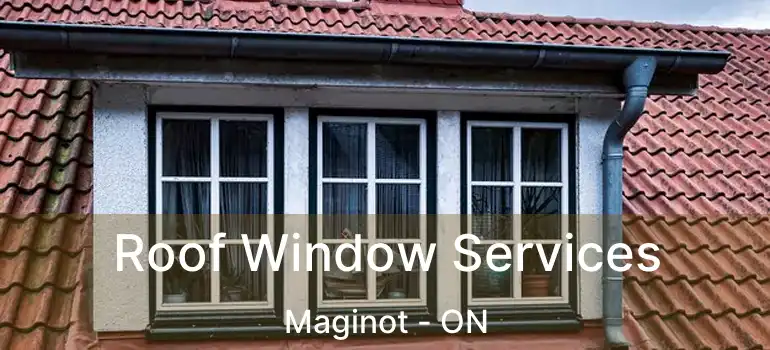  Roof Window Services Maginot - ON