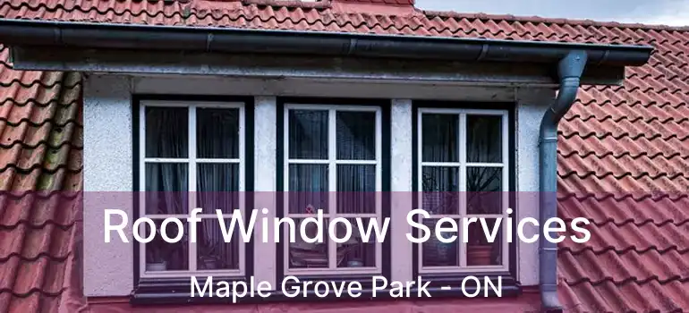  Roof Window Services Maple Grove Park - ON
