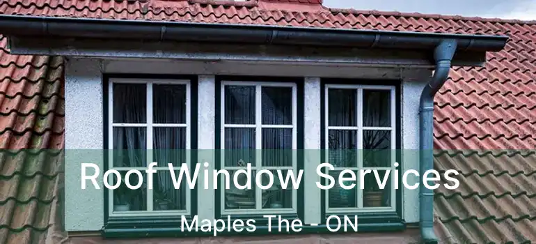  Roof Window Services Maples The - ON