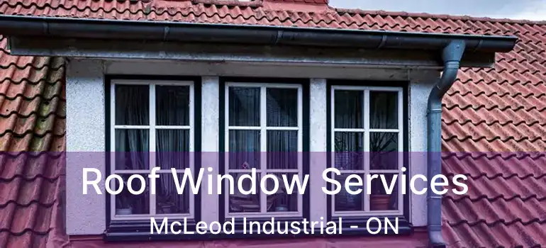  Roof Window Services McLeod Industrial - ON