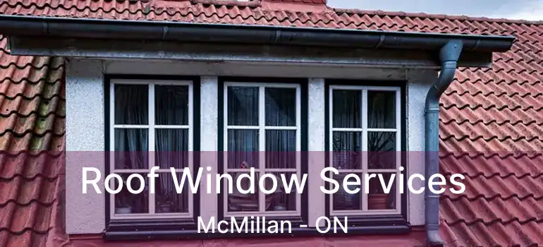  Roof Window Services McMillan - ON