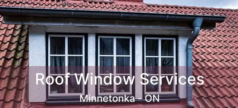  Roof Window Services Minnetonka - ON