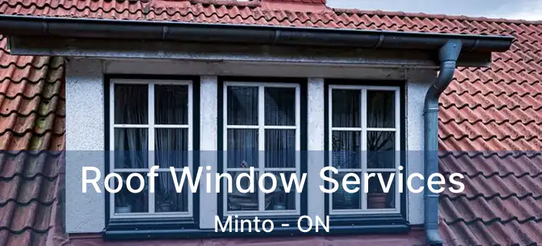  Roof Window Services Minto - ON