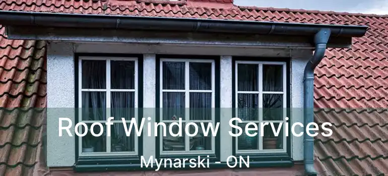  Roof Window Services Mynarski - ON